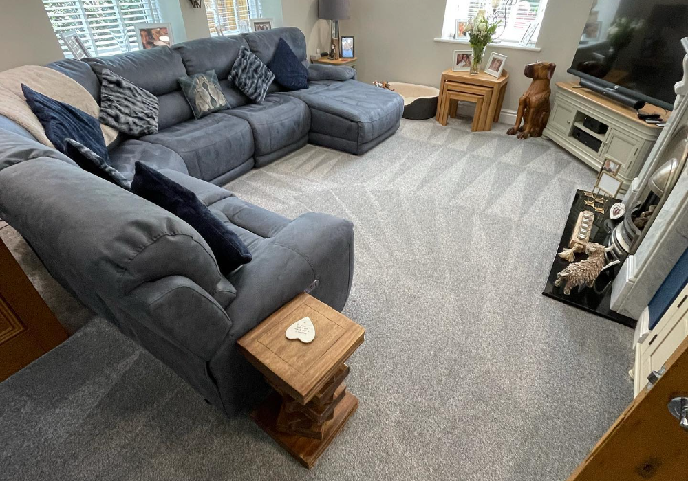 Professional Carpet Cleaning in Sheffield