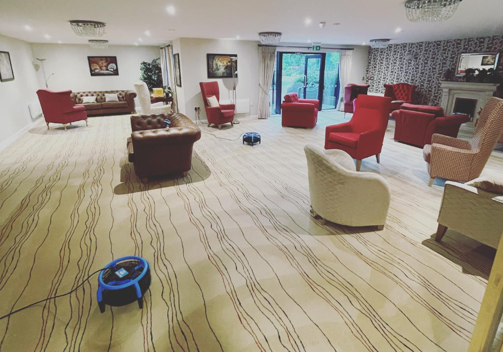 Carpet Cleaning in Sheffield