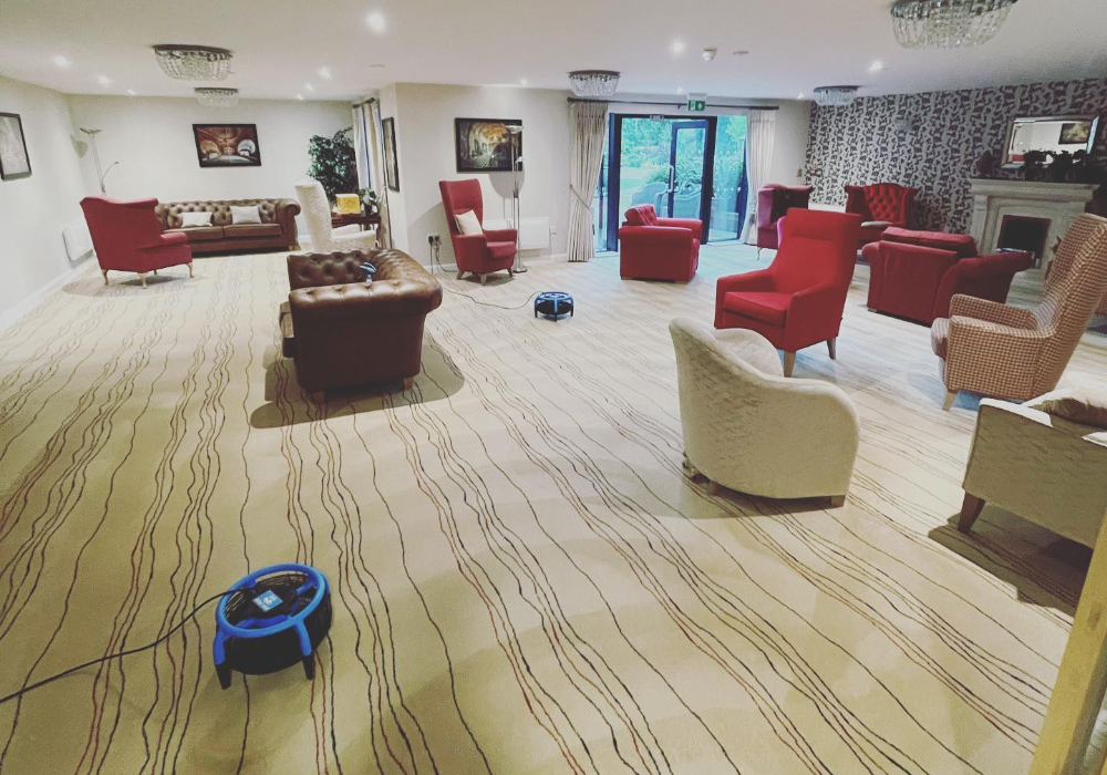 Best Carpet Cleaners in Sheffield